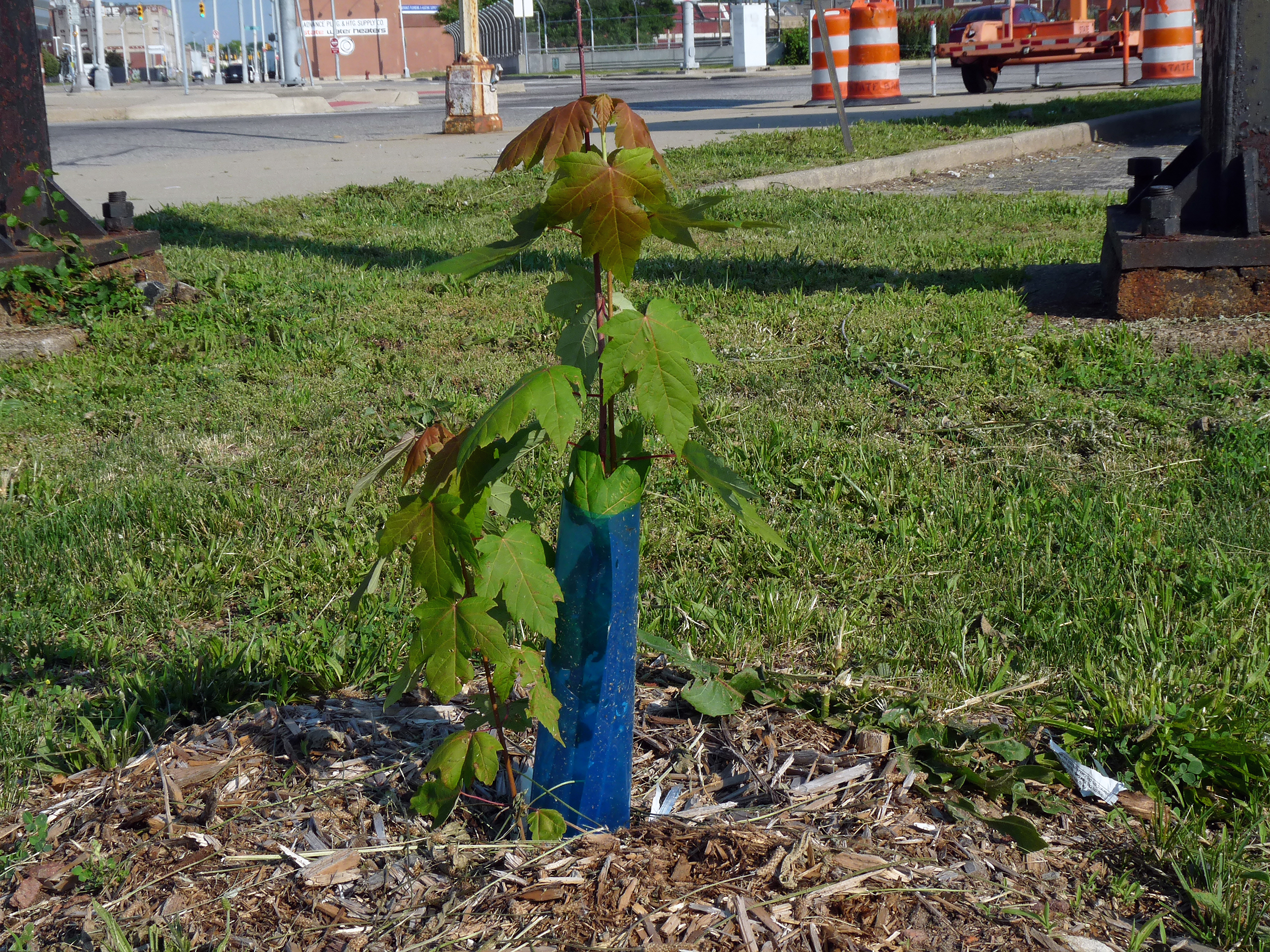 throw stones at glass houses - image 3